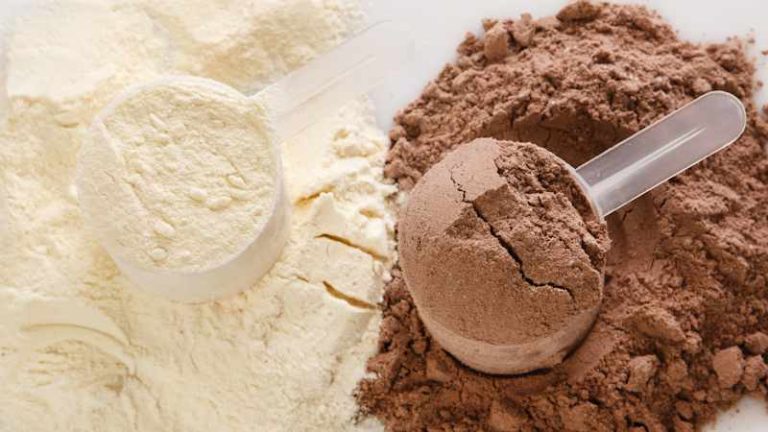 Protein Powder