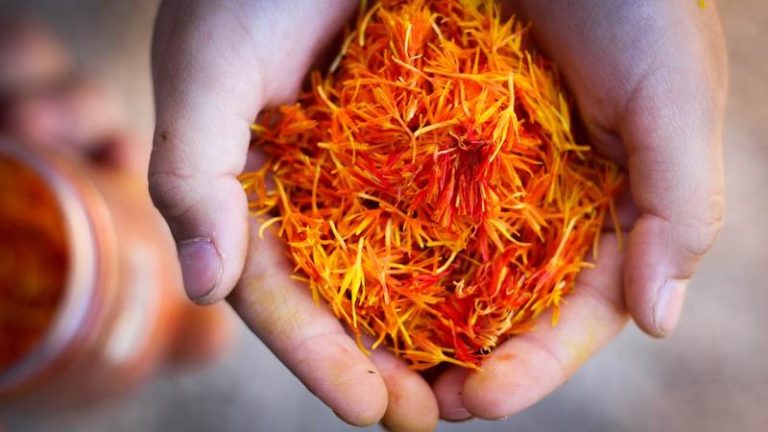 Saffron Extract